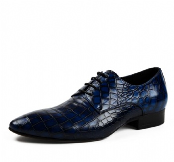 Dress Formal Shoes Lace Up shoes wholesale original brand shoes